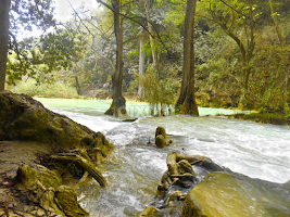 bien podría la naturaleza ser nuestro dios.. tiene el poder de destruir y dar vida  mas no de defenderse de su creación el hombre. by Irving Thomson -  