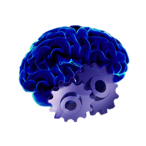 Memory Workout Free 1.0