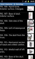 Gray's Anatomy Visual
