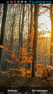 How to download Woods Live Wallpaper 1.0 apk for android