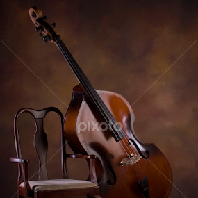 The Bass by Kelly Goode - Artistic Objects Musical Instruments
