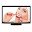 Muskan Download on Windows