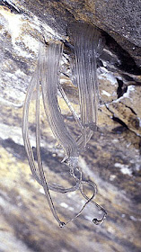 Fun & Info @ Keralites.net