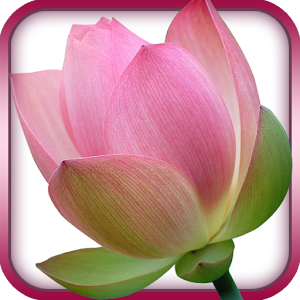 Gayatri Mantra -Mystical India.apk 6.3