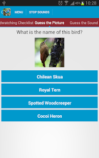 South American Birds Sounds Screenshots 19