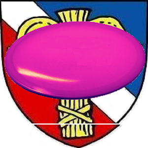 Discgolf Servant.apk 1.4