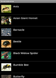 Download Animal Kingdom APK for Android