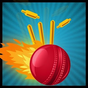 Cricket Knockdown Fever.apk 1.0