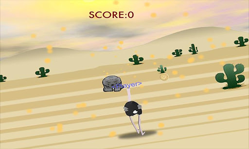 Ostrich Run