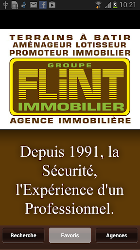 Groupe Flint Immobilier