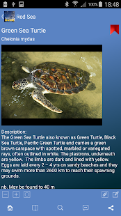Pocket Guide Red Sea Screenshots 4