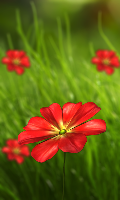 Flowers Live Wallpapers