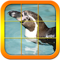 Picture Puzzles Penguins Apk