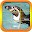 Picture Puzzles Penguins Download on Windows