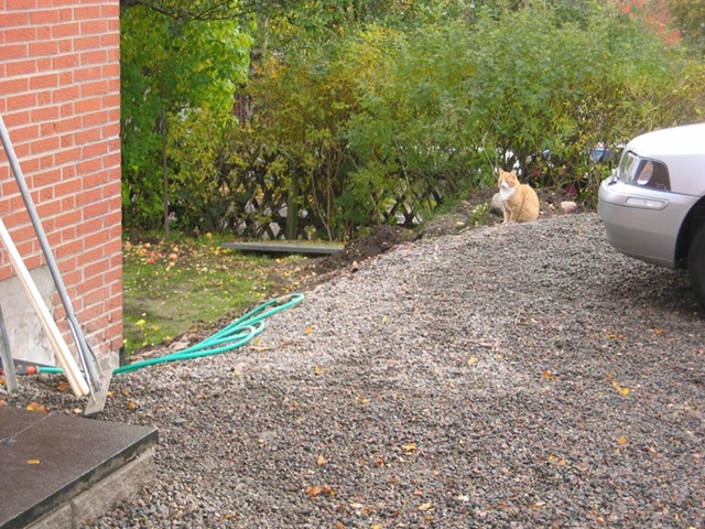 [20081011_1962[2].jpg]