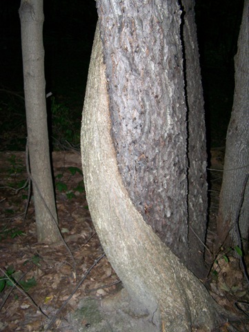 [100_33612.jpg]