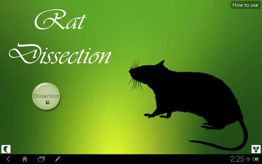 Rat Dissection for tablet Screen 1