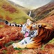 Cool Tigers Wallpapers