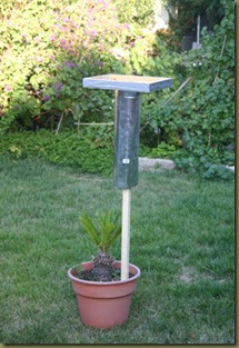 Diy Squirrel Proof Bird Feeder Birds N Such