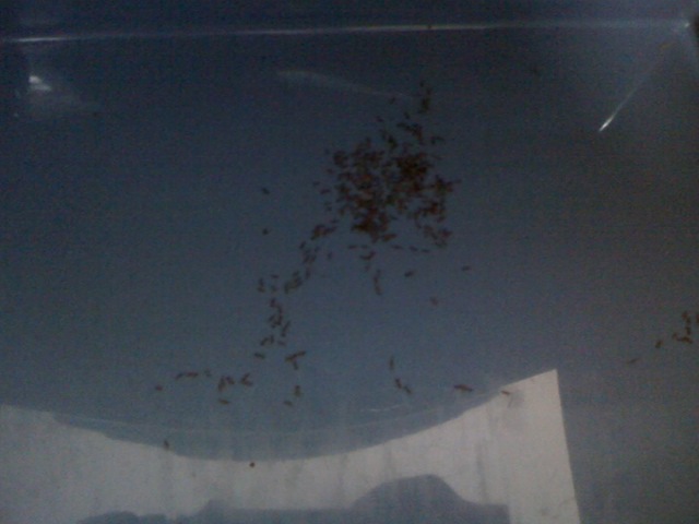 [28-10-08_1523[9].jpg]