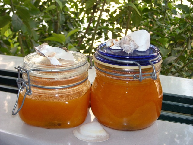 [21062008 095[2].jpg]