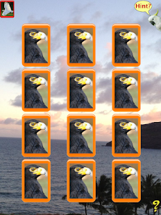 Birdy Brain Screenshots 2