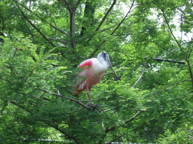 [DSCF31094.jpg]