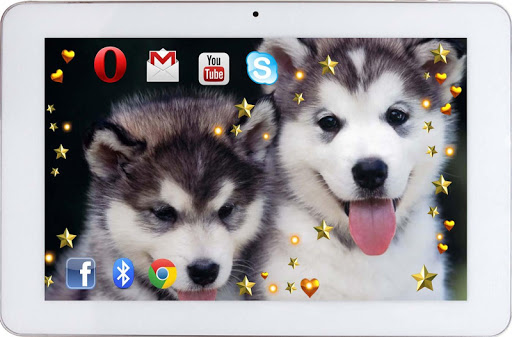 【免費個人化App】Husky Puppies live wallpaper-APP點子