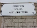 Szendrey Júlia emléktábla