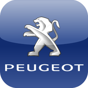 Peugeot Abcis Bretagne 1.1