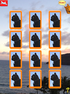 Kitty Match Screenshots 5