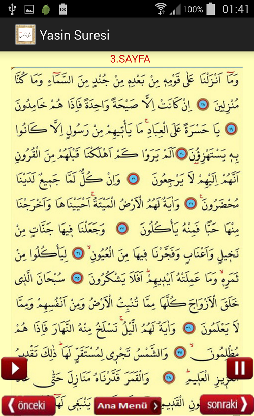 Yasin suresi. сура йа син. Ok sure. Yasin. Yasin suresi.