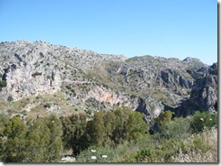 P1000881