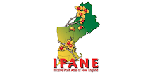 ipane APK