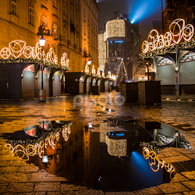 Vienna by Mihai Popa - City,  Street & Park Street Scenes