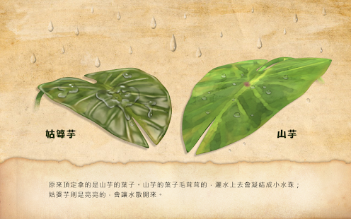 Free Download 飛鼠部落 - 7 彩虹衣 APK for PC