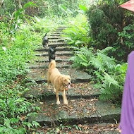 大山背客家人文生態館