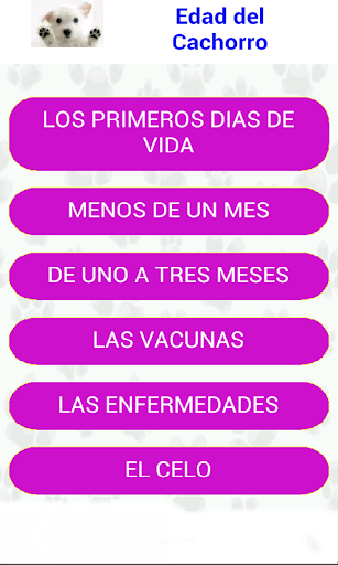免費下載工具APP|CAHORROS Perros y Gatos app開箱文|APP開箱王