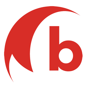 Bali Assist 2