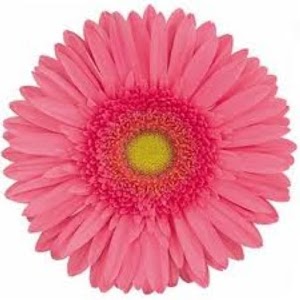 Kids Learning Flowers Names.apk 1.0