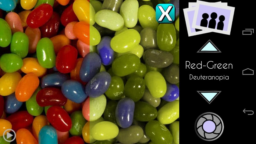 Colorblind Vision Screen 2
