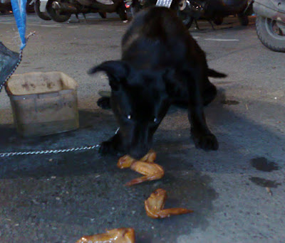 [DOG]黃昏市場小黑狗大吃雞翅膀！ - 阿祥的網路筆記本