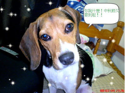 [Event]幫紅豆拉票！來參加PC Home Kuso相片塗鴨比賽吧！ - 阿祥的網路筆記本