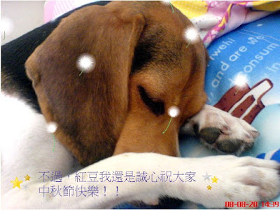 [Event]幫紅豆拉票！來參加PC Home Kuso相片塗鴨比賽吧！ - 阿祥的網路筆記本