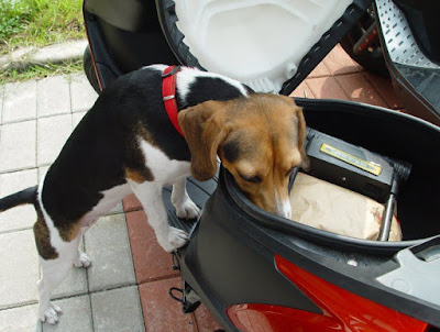 [Motor]都會專屬、輕巧靈動！SUZUKI AZ 125試駕心得！ - 阿祥的網路筆記本