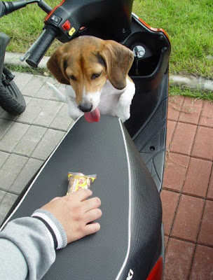 [Motor]都會專屬、輕巧靈動！SUZUKI AZ 125試駕心得！ - 阿祥的網路筆記本