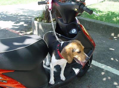 [Motor]都會專屬、輕巧靈動！SUZUKI AZ 125試駕心得！ - 阿祥的網路筆記本