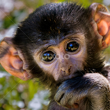 by Renos Hadjikyriacou -  