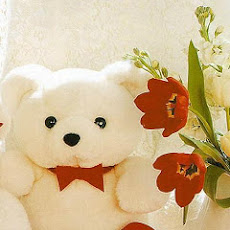 [最も欲しかった] ぬいぐるみ 壁紙 107122-ぬいぐるみ 壁紙