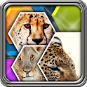 HexLogic – Collage logo